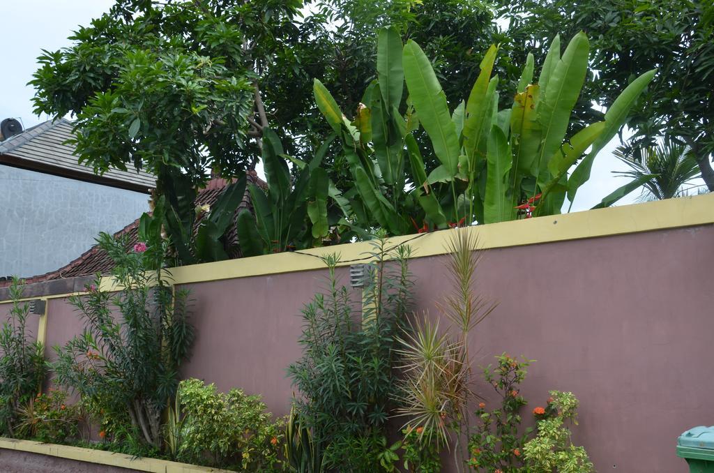 Villa Eva Canggu Exterior foto