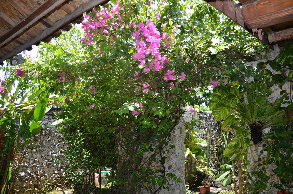 Villa Eva Canggu Exterior foto